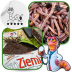 Ziemia Ogrodowa BIO Kompost 1050L do pomidorów warzyw rozsad PALETA